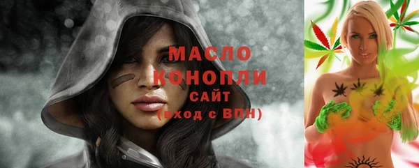 индика Вязники