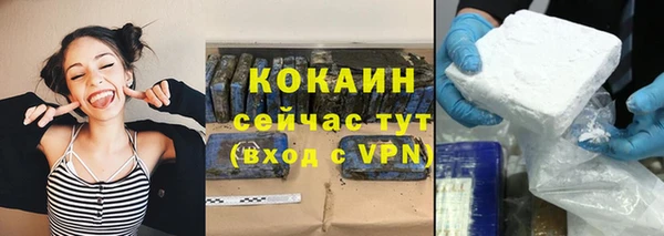 Альфа ПВП Горняк