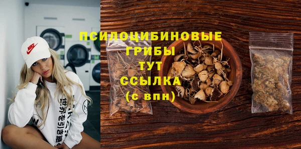 Альфа ПВП Горняк