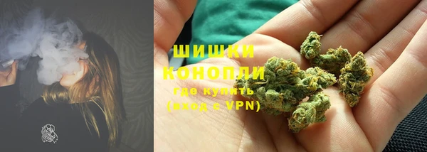 индика Вязники
