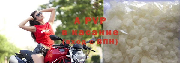 индика Вязники