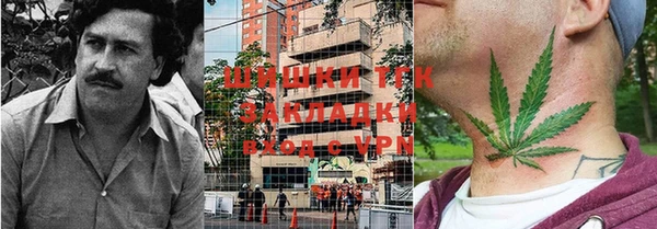 Альфа ПВП Горняк