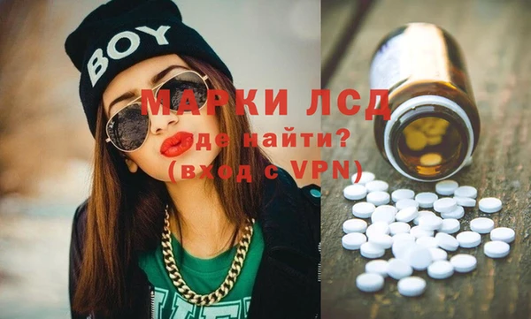 индика Вязники