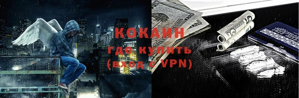 индика Вязники