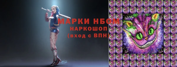 ГАЛЛЮЦИНОГЕННЫЕ ГРИБЫ Горно-Алтайск