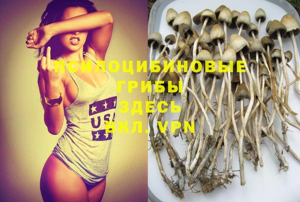 синтетический гашиш Вязьма