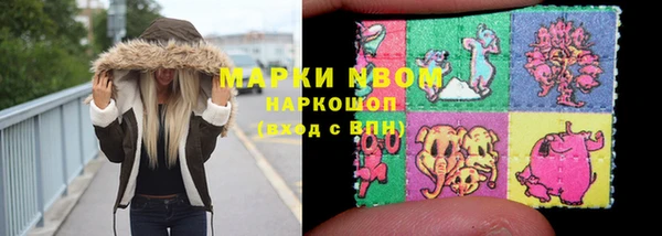 Альфа ПВП Горняк