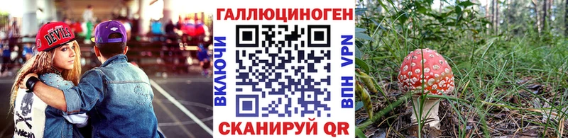 Псилоцибиновые грибы GOLDEN TEACHER  Дедовск 